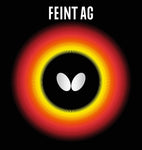 FEINT AG