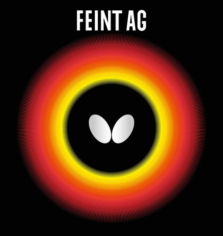 FEINT AG